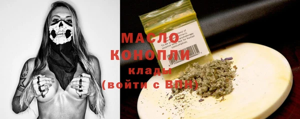 гашик Ельня