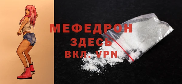 гашик Ельня