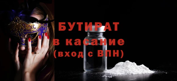 гашик Ельня