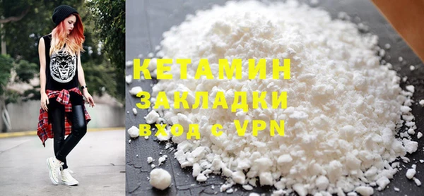 гашик Ельня