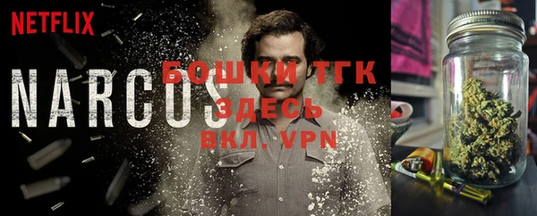 mdpv Елабуга