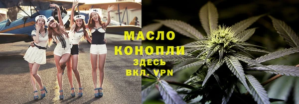 гашик Ельня