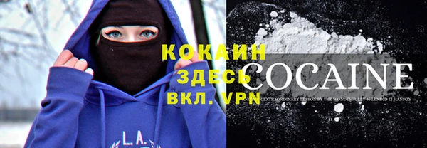 гашик Ельня