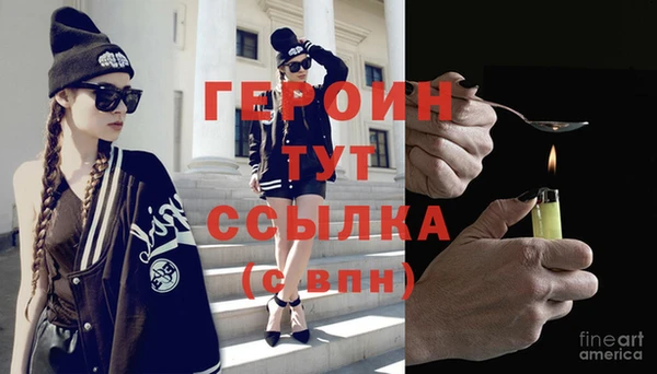 гашик Ельня