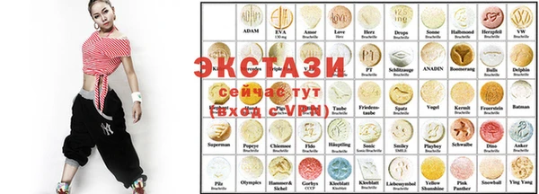гашик Ельня