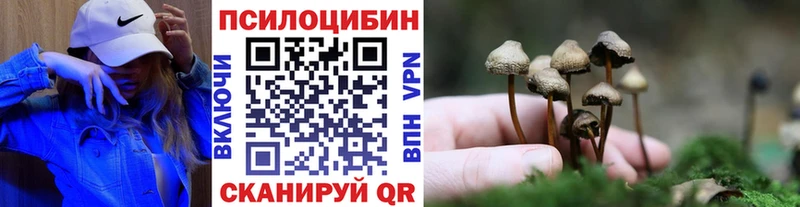 Псилоцибиновые грибы мицелий  Купить где  Алупка 